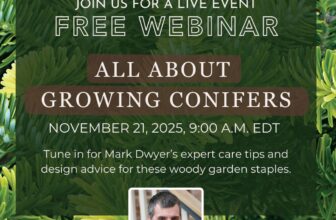Conifers Q&A–Webinar with Mark Dwyer