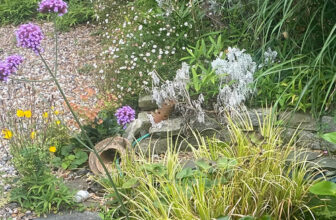 Laura Shares Her Mom’s Mature English Garden