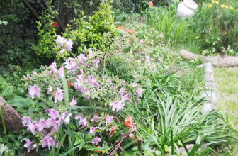 Ezequiel’s Early Spring Garden in Buenos Aires