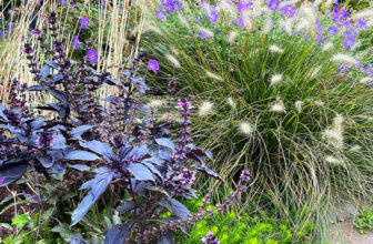 Lizzi’s Fall Garden in Walla Walla