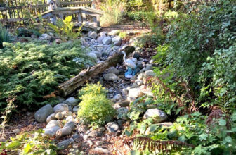 Adele’s First Day of Fall in Indiana