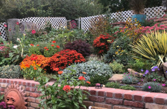 Patsy’s Late Summer Garden in Colorado