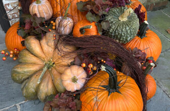 Howard’s Pumpkin Displays in Chicago