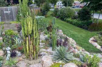 Jacob’s Unexpected Garden in Ontario