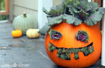 How to Make Pumpkin Planters