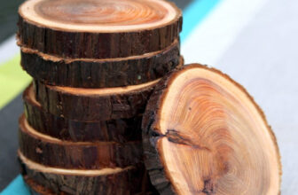 How to Cut, Sand, and Seal Wood Slices