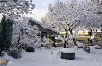Winterize a Garden: How to Protect Plants from Frost & Snow