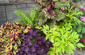 Leslie’s Colorful Containers in Colorado, Part 1