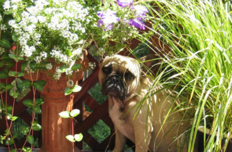 Leslie’s Colorful Containers in Colorado, Part 2