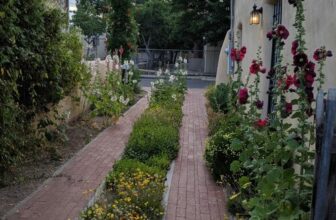 A Darling Little Driveway Garden in New Mexico