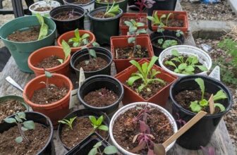 Christine’s Three Weddings’ Bouquets: A GPOD Takeover