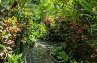 Fabulous Foliage from Costa Rica