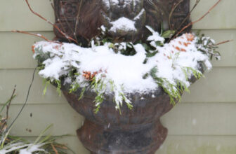 What You Need to Know to Winterize a Fountain or Water Feature