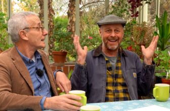 Top Garden Designers Reveal the Biggest Garden Design Mistake – The Middle-Sized Garden