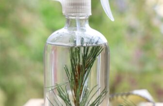 Herbal Guide to Pine Needles