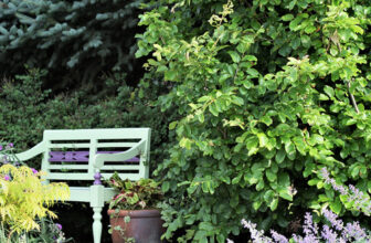 John’s Getaway Garden in Illinois, Part 2