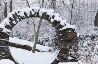 Fresh Snow in Carol’s Pennsylvania Garden