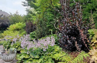 Marty’s 2025 Garden Highlights, Part 1