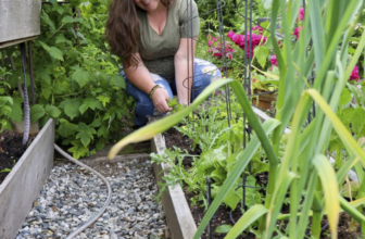 Renovate Your Day With a Peaceful Morning Routine Outside