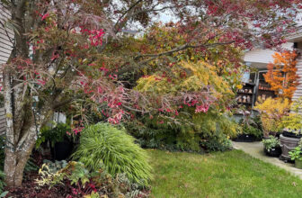 Cherry’s October Garden in British Columbia