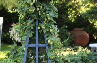 Using Permaculture Zones to Create an Accessible Garden